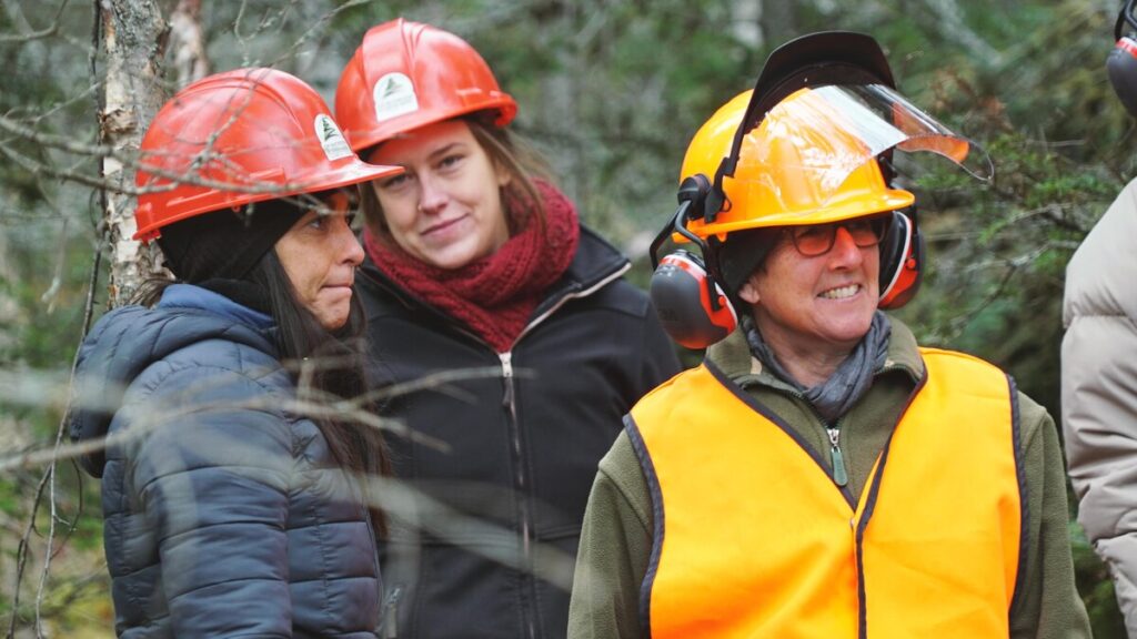 abattage-coupes-arbre-foresterie-causapscal-pascale-saint-laurent