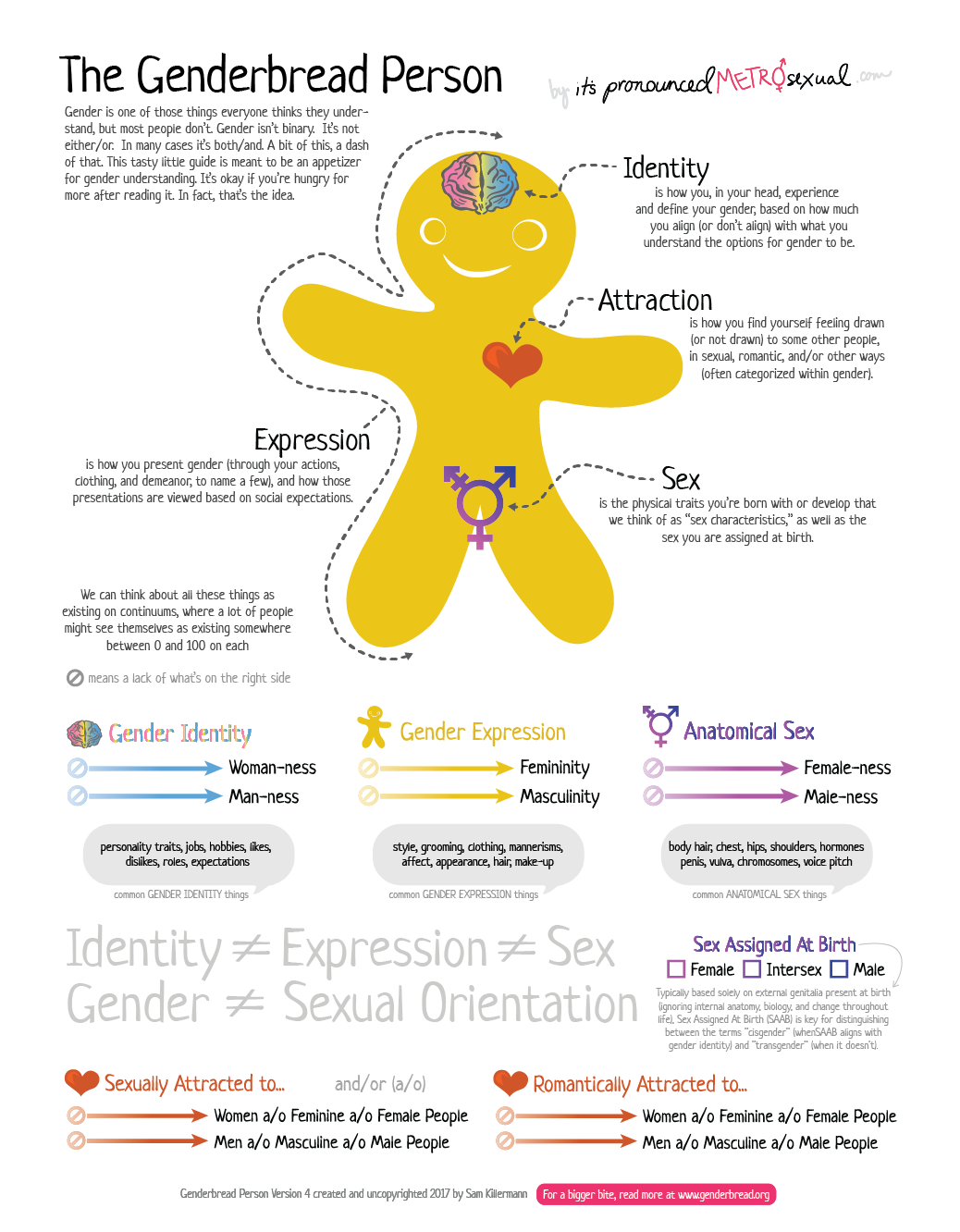 Introducing Gender Identity Lesson Plan